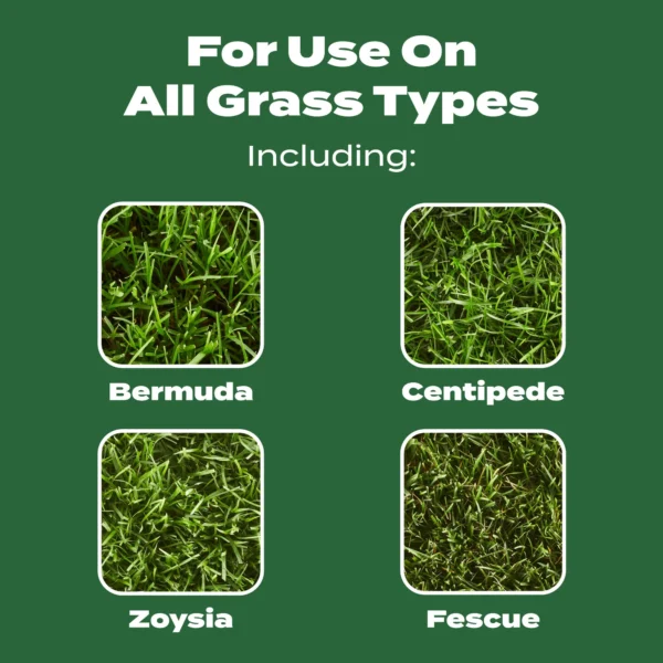 Scotts Turf Builder Lawn Fertilizer, 15,000 sq. ft., 37.50 lbs. - Image 7