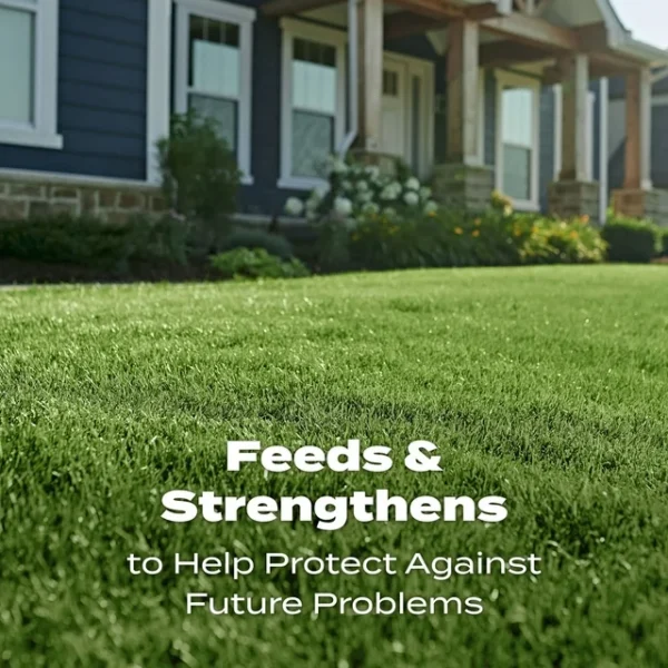 Scotts Turf Builder Lawn Fertilizer, 15,000 sq. ft., 37.50 lbs. - Image 5